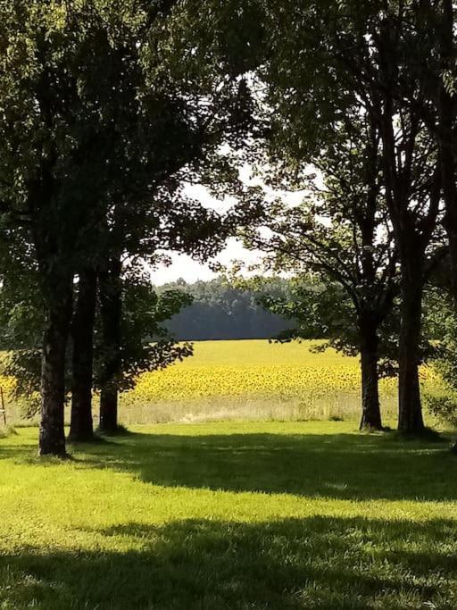 As Seen On A New Life In The Sun - Beautiful 3 Bedroom Cottage With Shared Pool Montboyer Esterno foto
